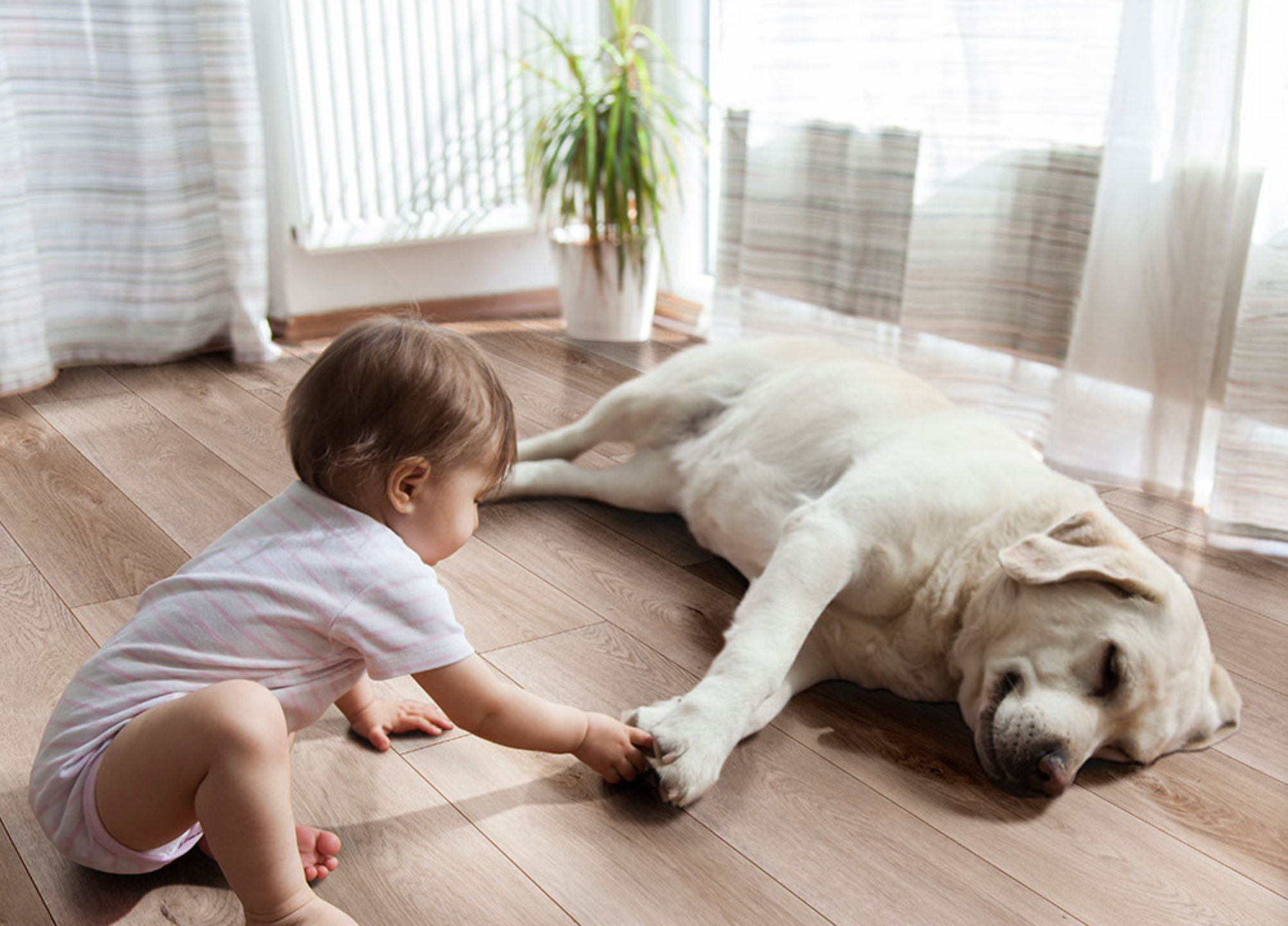 XL Cyrus® Whitfield Gray® Luxury Vinyl Planks