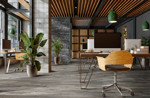 Coastal Mix Luxury Vinyl Planks