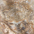 Tuscany Scabas Travertine