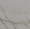 Gray Canyon Quartzite