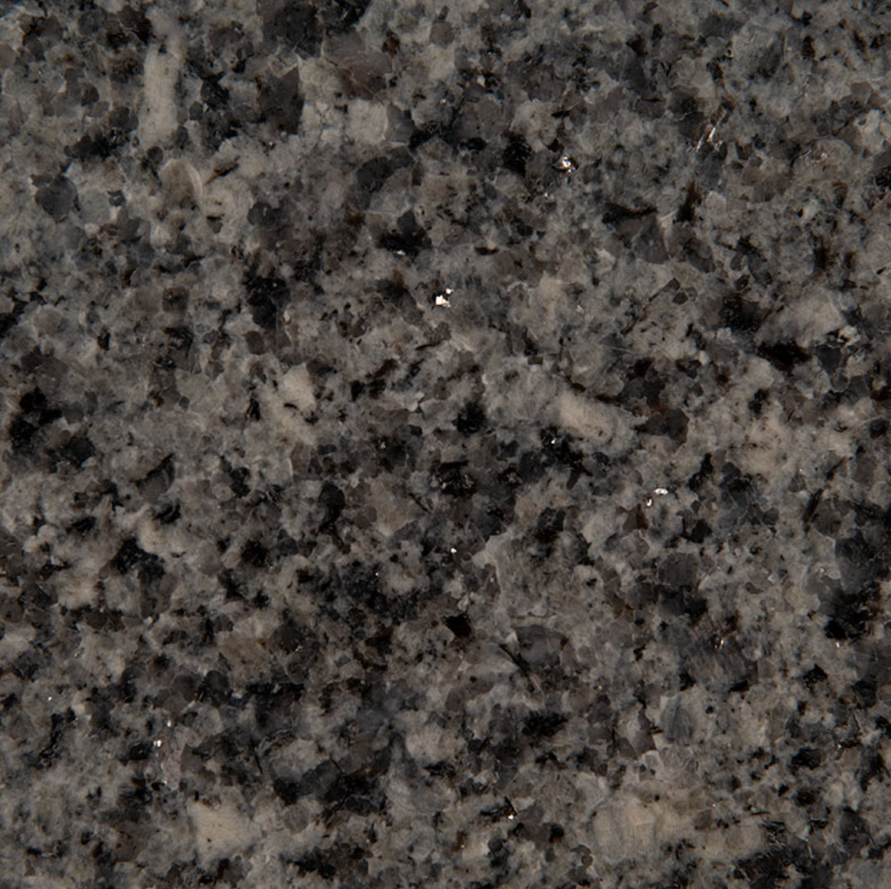 Azul Platino Granite