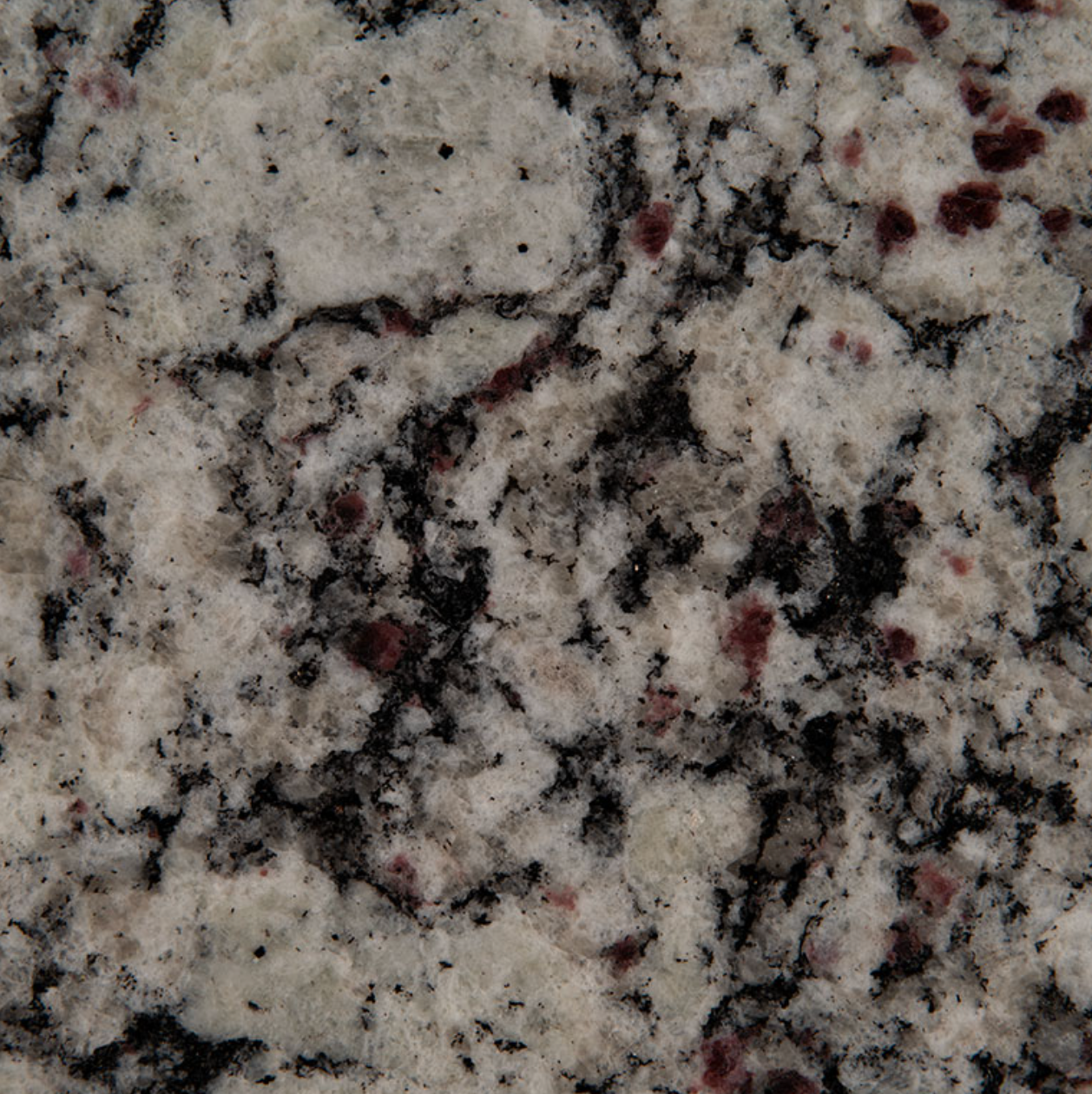 Bianco Frost Granite