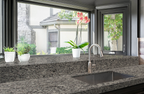 Bianco Frost Granite
