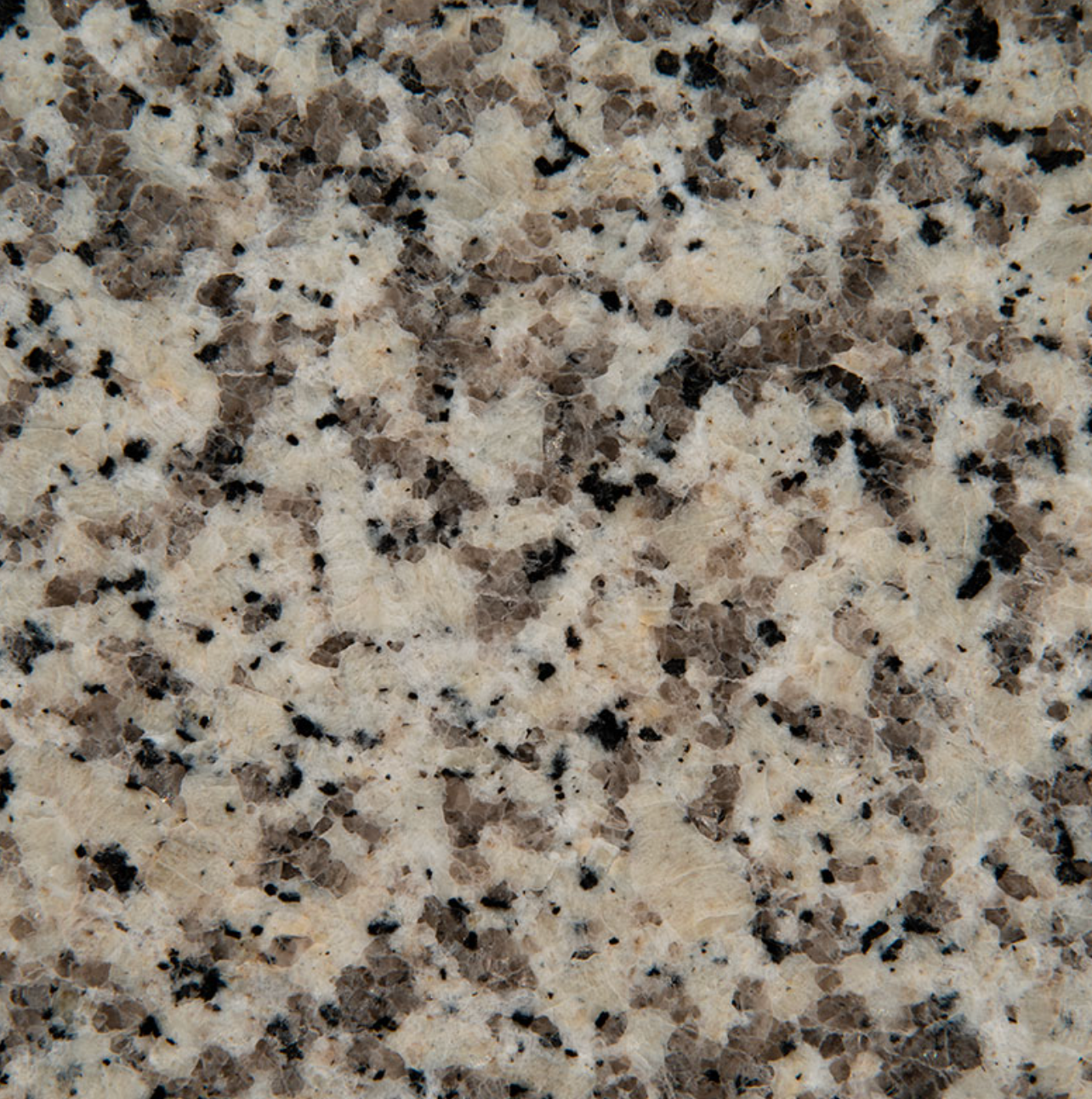 Crema Atlantico Granite