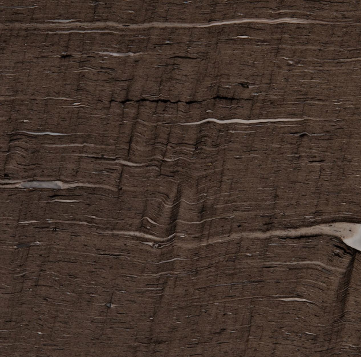 Cygnus Granite