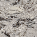 Delicatus White Granite