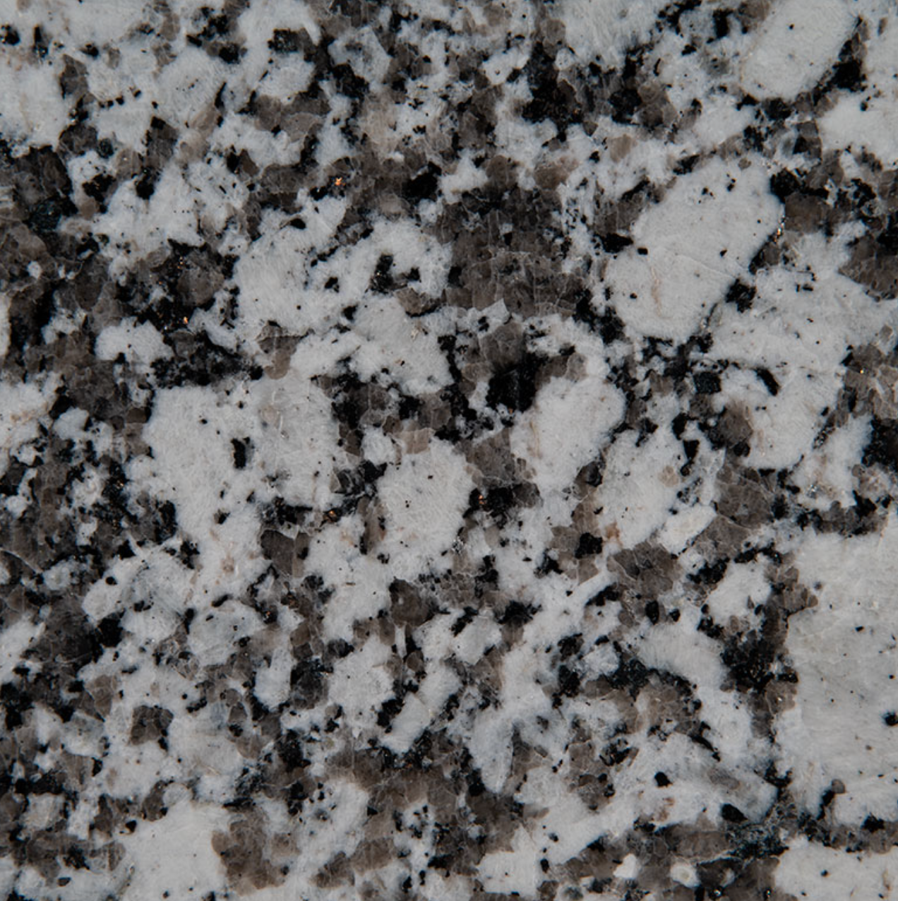 Gran Valle Granite