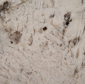 Gray Nuevo Granite
