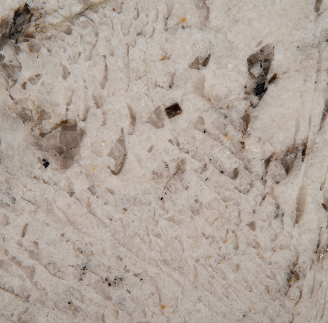 Gray Nuevo Granite