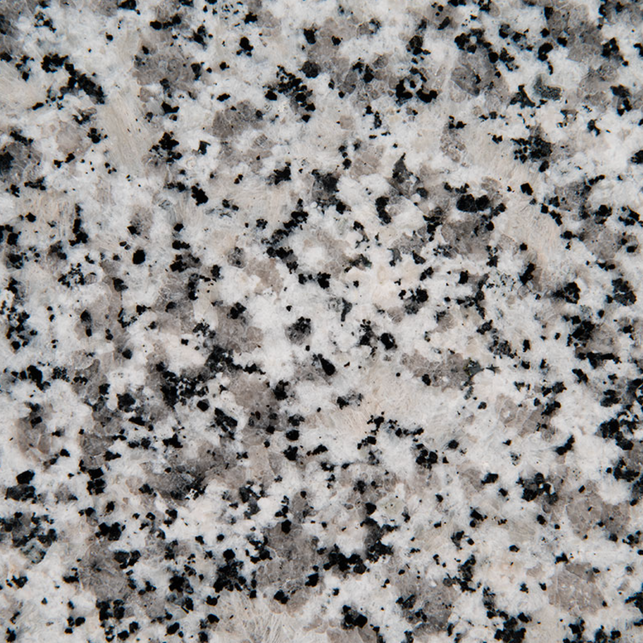 Luna Pearl Granite