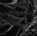 Silver Waves Granite