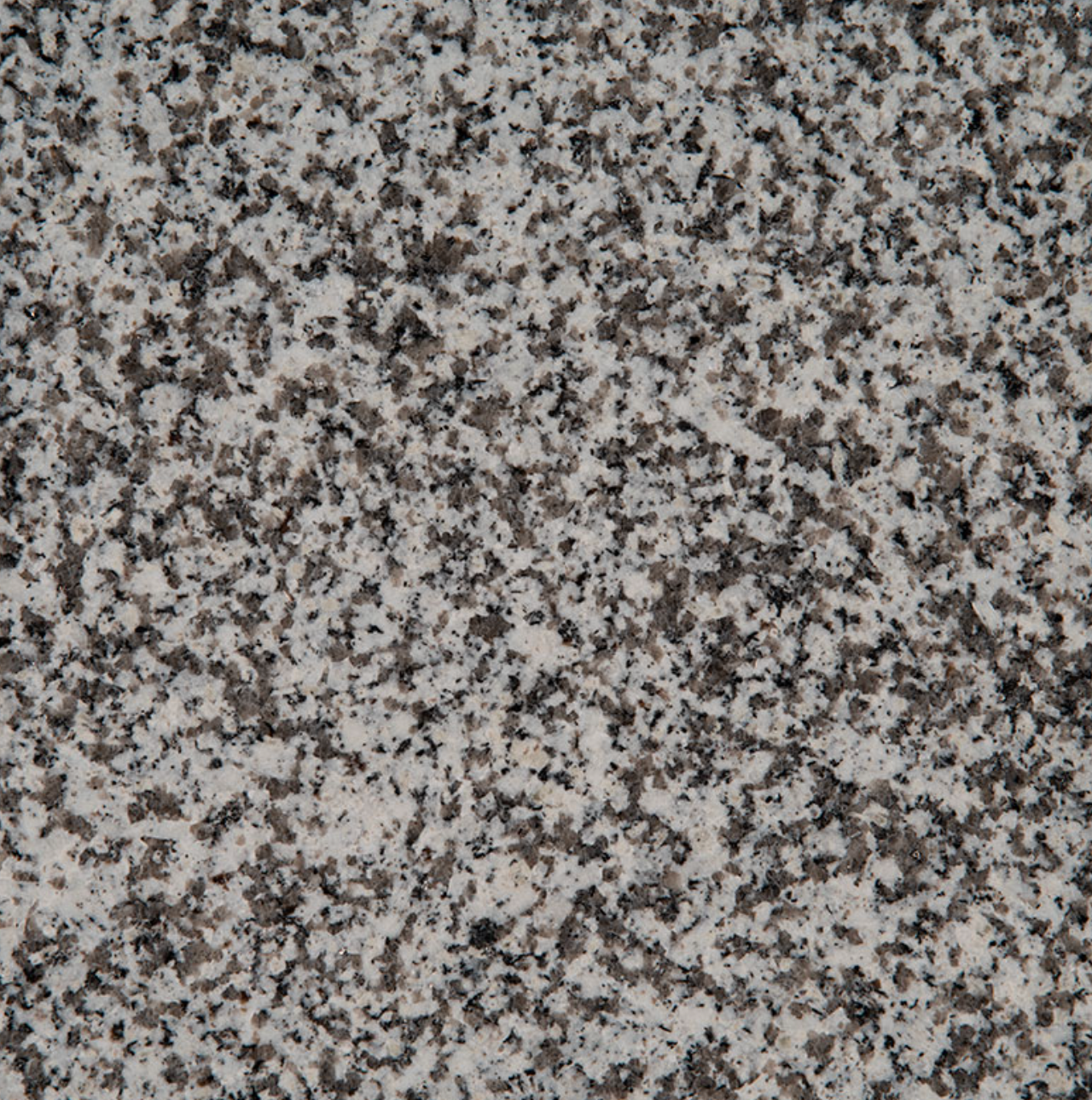 White Sparkle Granite